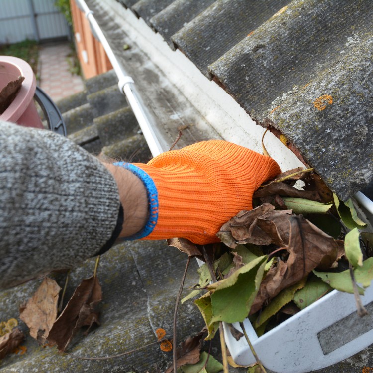 Exterior Cleaning and Lighting in Sioux Falls, SD Exterior Cleaning and Lighting in Sioux Falls, SD